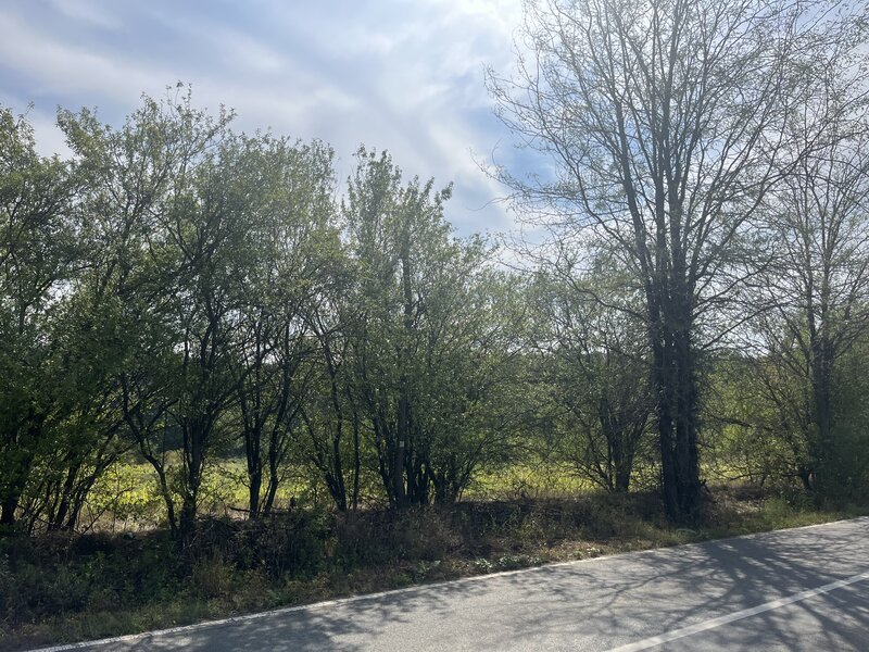 Snagov, Ilfov